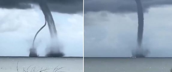 Pijavica u Jadranskom moru