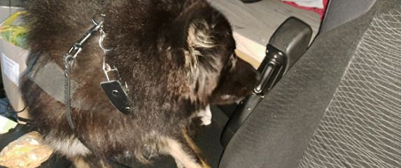 Zapljena carinske uprave - 4