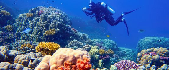 Veliki koraljni greben