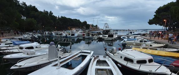 Mandre na otoku Pagu