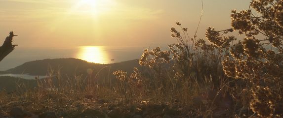 Toplinski val u Hrvatskoj