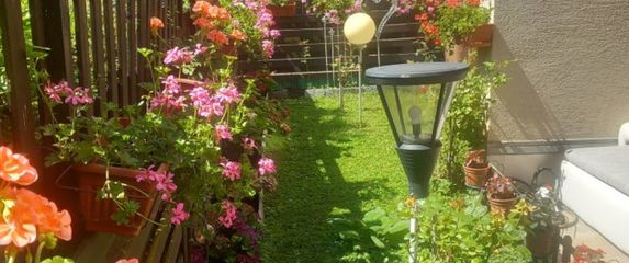 Vrt Nataše Marinković izgleda poput male oaze sreće - 10