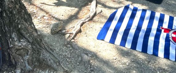 Ručnici na plaži u Dalmaciji