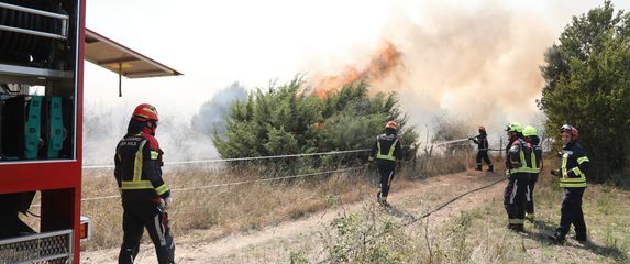 Požar iznad uvale Blaz - 3