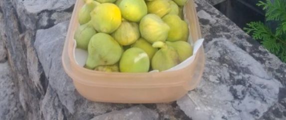 Košara puna smokvi u Malinskoj