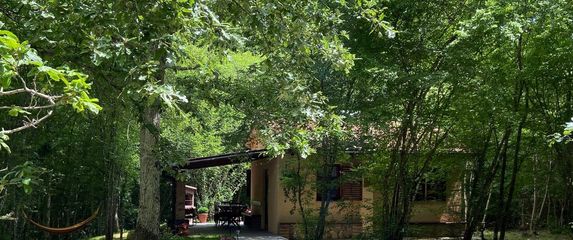 Kućica Noni za robinzonski odmor na Krku, Airbnb - 3