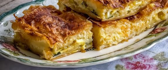 Savijača od tikvica/Ilustracija