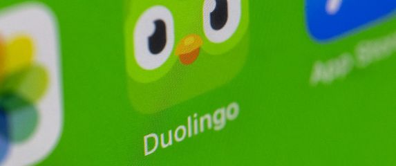 Duolingo, ilustracija