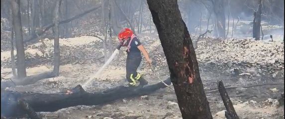 Na prvoj liniji požara