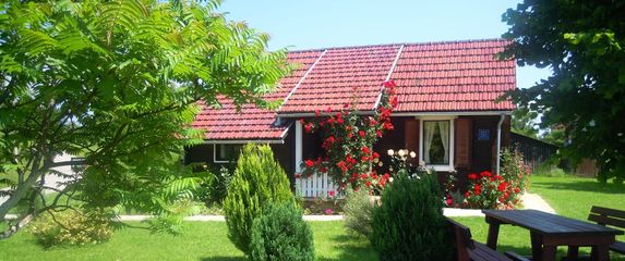 Kuća Nela kod Plitvičkih jezera, Airbnb - 3