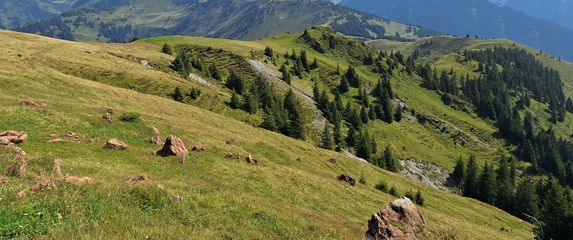 Highlander Austria - 4