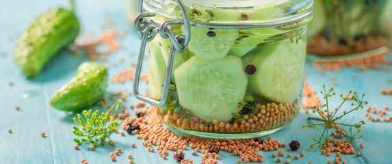 Brzi domaći kiseli krastavci