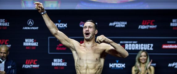 Borislav Nikolić
