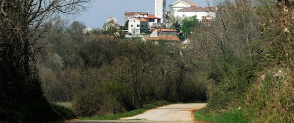Višnjan