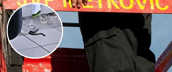 JVP Metković i poskok u kući