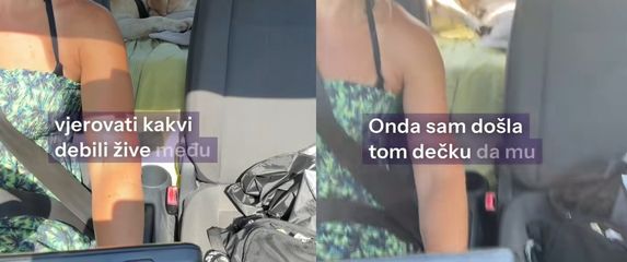 Iskustvo sa pseće plaže