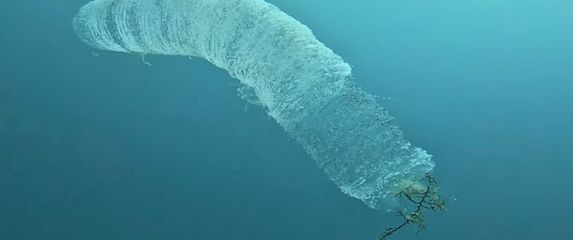 Velika svjetlica