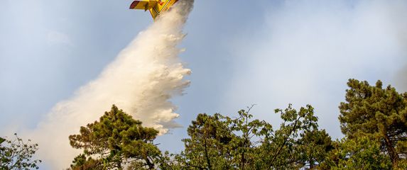 Kako se piše: Canadair ili kanader