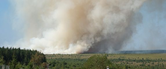 Veliki šumski požar u Belgiji