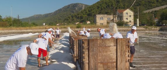 Berba soli u Stonu - 2