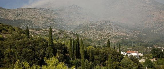 Požar kod Dubrovnika