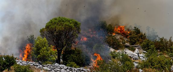 Požar u Župi Dubrovačkoj