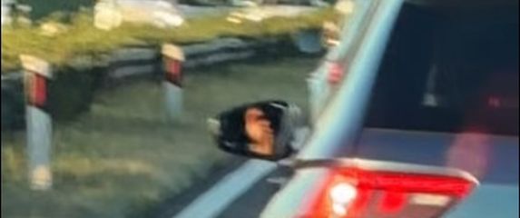 Prizor na autocesti
