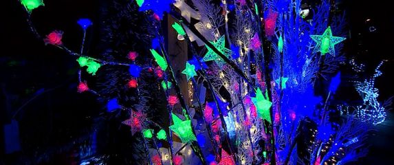 Blagdanska sigurnost (Foto: Dnevnik.hr) - 2