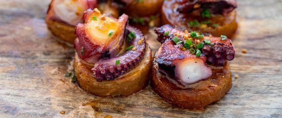 Galicijska hobotnica