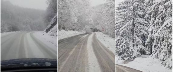 Snježna mećava zahvatila je dio Srbije