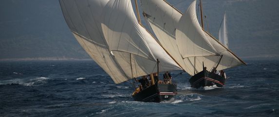 Ofalkono gajeta-falkuša od kolumbe do idra - 8