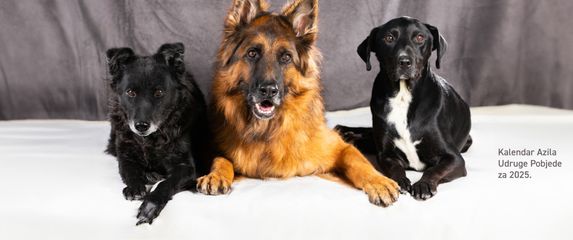 Kalendar osječke Udruge Pobjede za 2025. godinu - 3