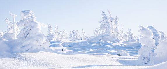 Kako se piše: bijelji ili bjelji
