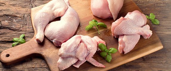 Piletina, ilustracija