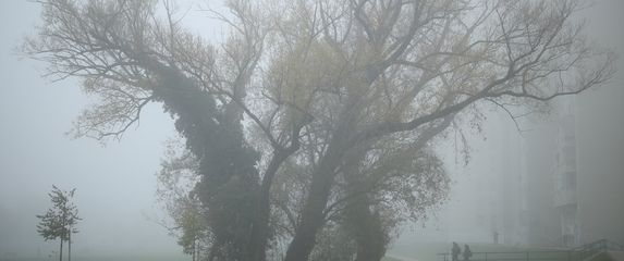 Magla na Srednjacima, ilustracija