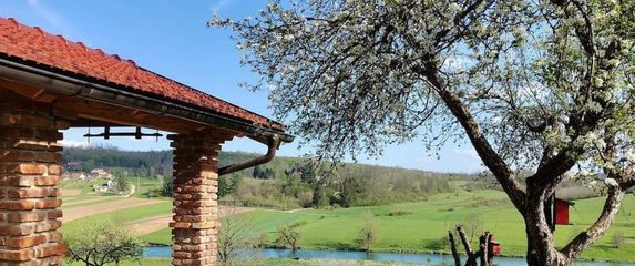 Mini Ranch Protulipa - 3