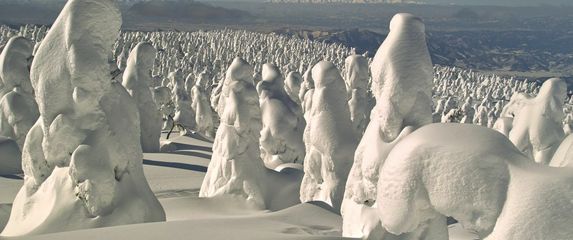 Snježna čudovišta - 7