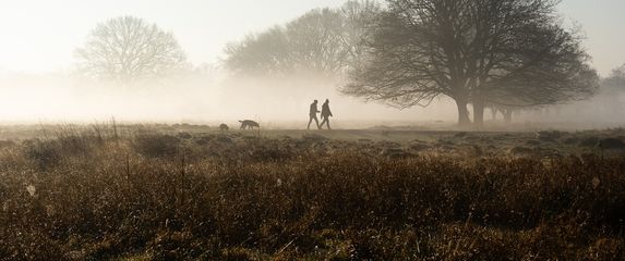 Vremenska prognoza; Ilustracija