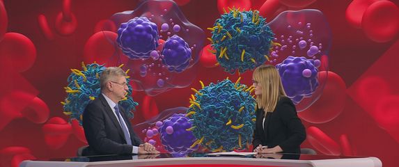 Zaklada Ana Rukavina - 3