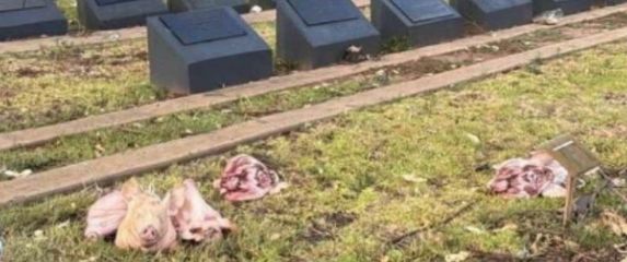 Svinjske glave na grobljima u Sydneyju