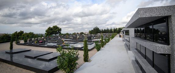 Šibensko groblje, ilustracija