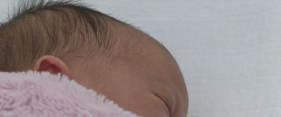 Vinkovci demografija