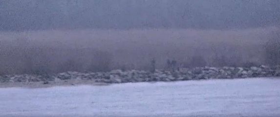 Ruski graničari ušli u Estoniju