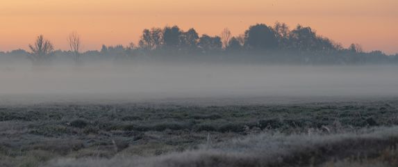 Vremenska prognoza; Ilustracija