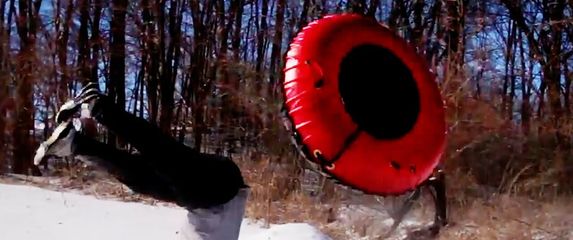 Nezgoda na sanjkanju