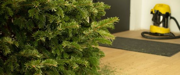 Najbolji način za uklanjanje iglica božićnog drvca s poda