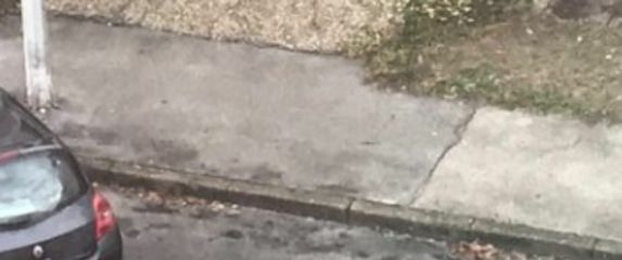 Neobičan način rezervacije parkinga u Hrvatskoj