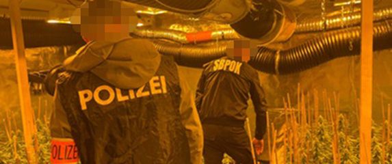 Zaplijenjeni skupocjeni satovi i automobili: Razbijena kriminalna grupa koja je uzgajala i prodavala marihuanu, uhićenja u tri države - 2