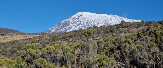 Kilimanjaro