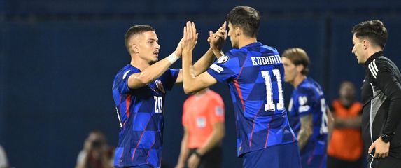 Franjo Ivanović i Ante Budimir